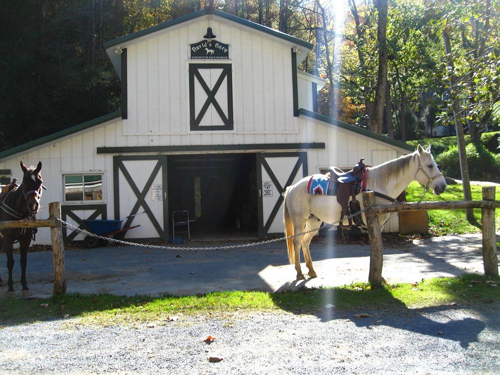 Valle Crucis Farm Екстер'єр фото