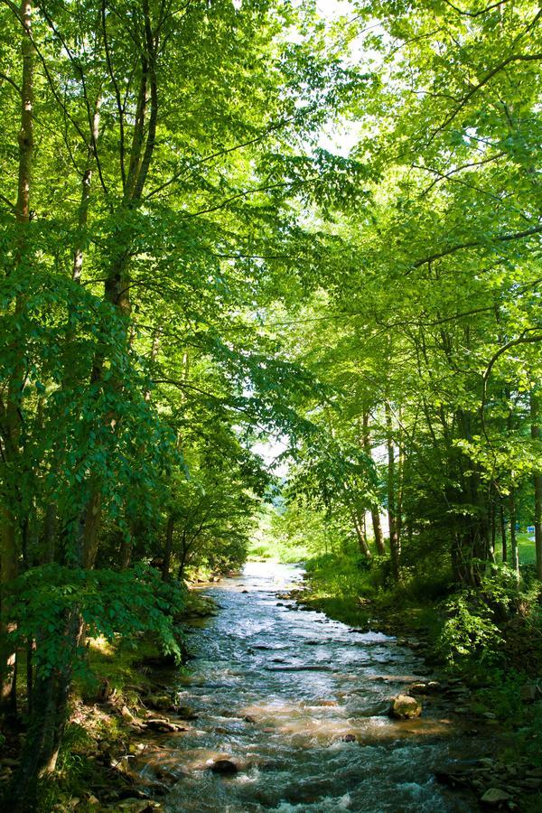 Valle Crucis Farm Екстер'єр фото